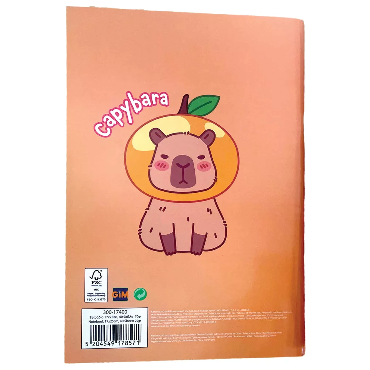 Capybara Chill B/5 Lined Notebook 40 stran fotografii produktu