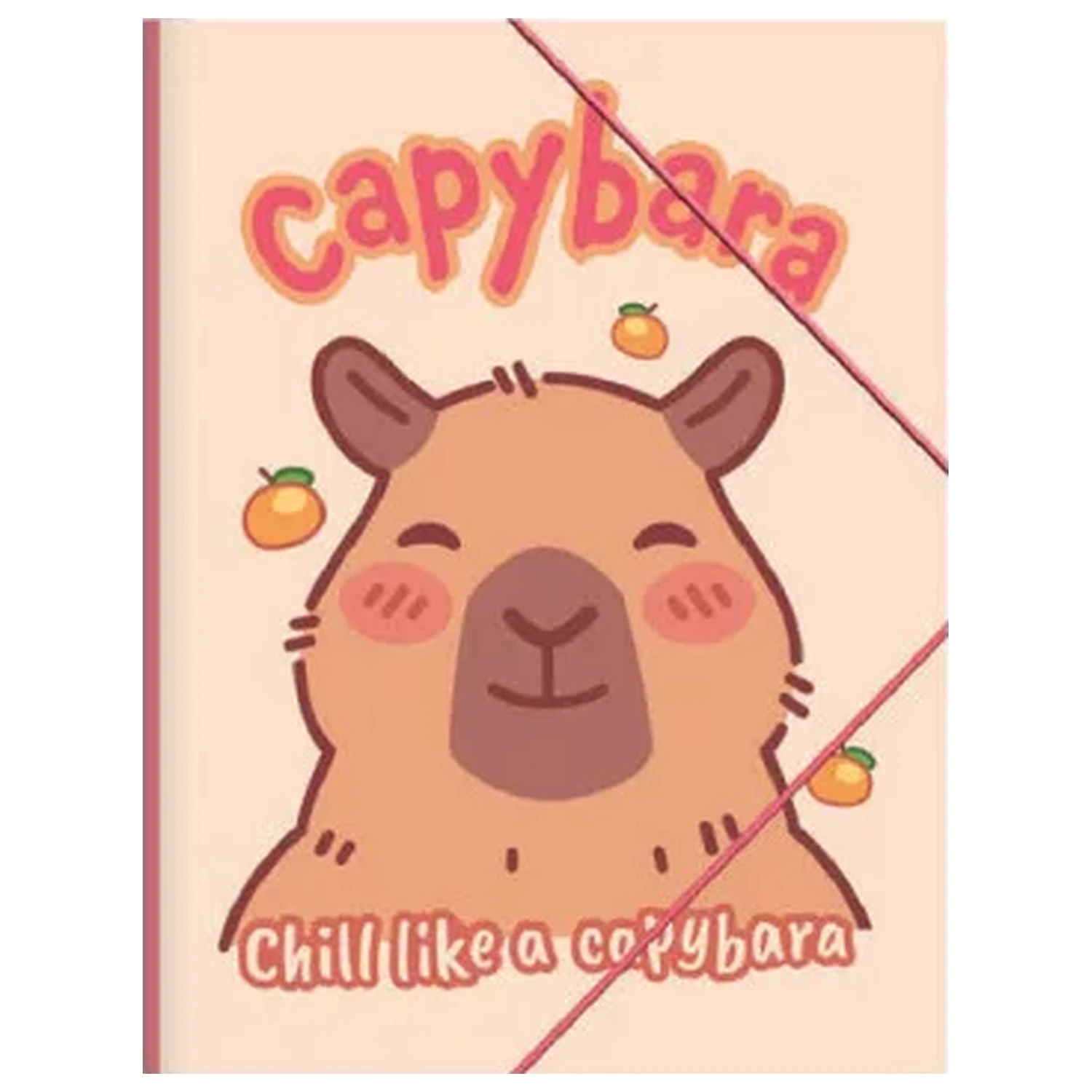 Capybara Happy Life A/4 Elastická složka fotografii produktu
