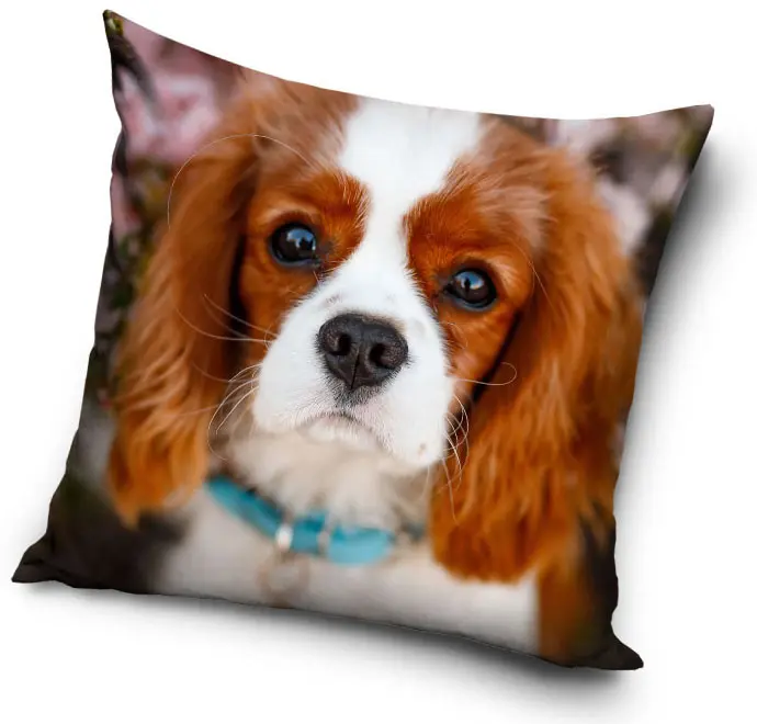 Povlak na polštář s motivem psa 40x40 cm fotografii produktu