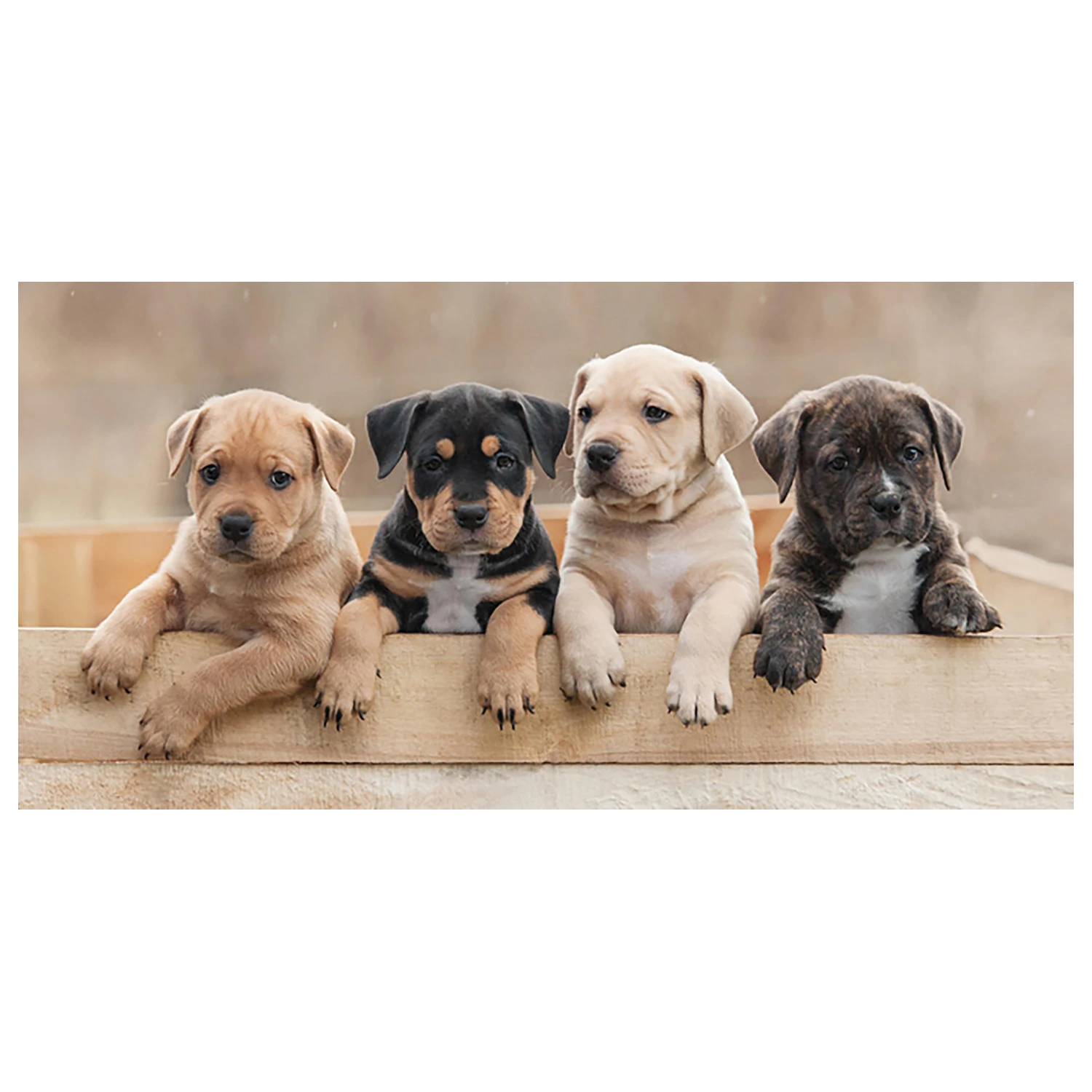 Dog Team ručník fotografii produktu