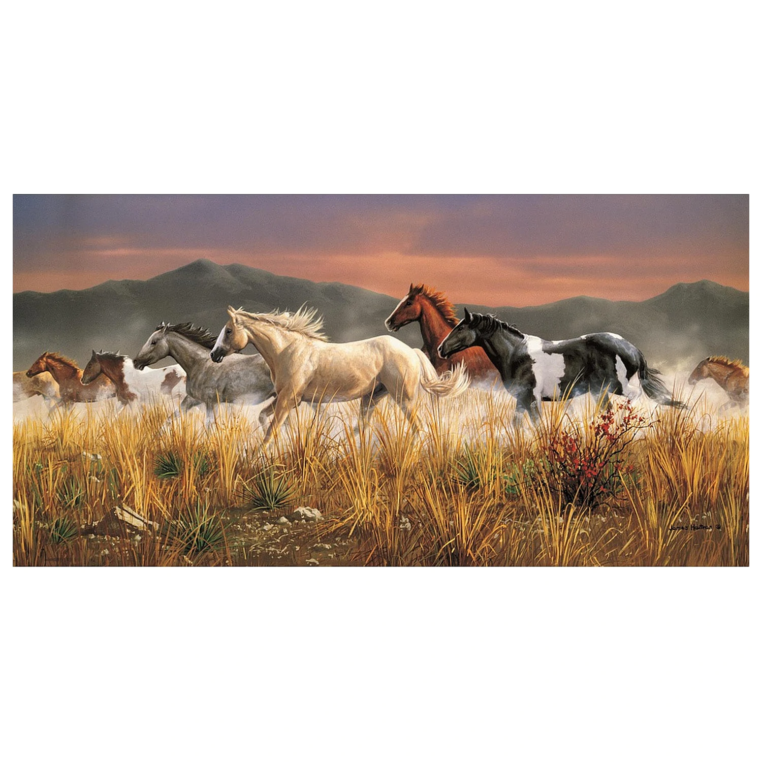 Rider Band of Thunder 13200dílné puzzle fotografii produktu