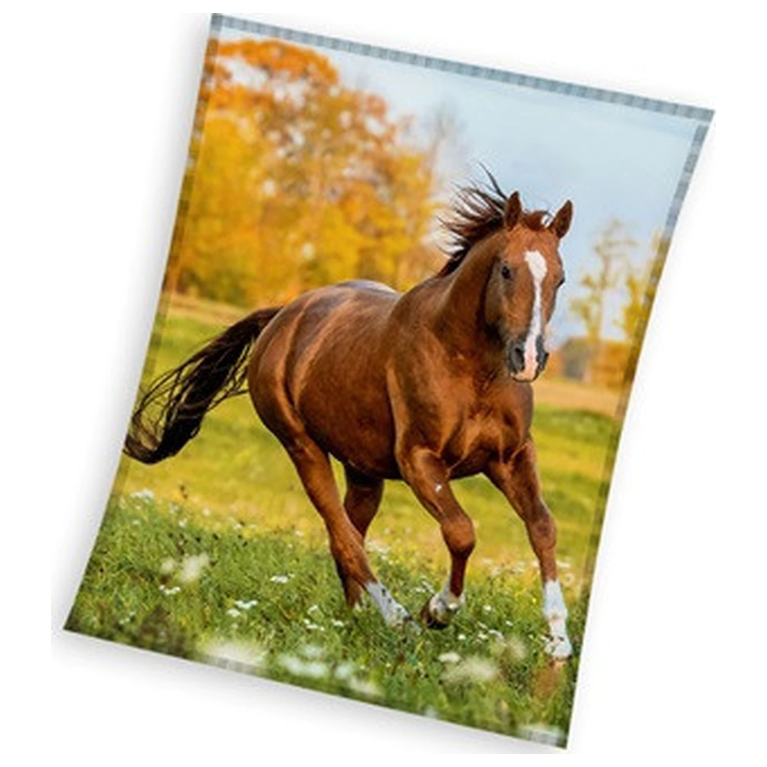 Fleece deka Horse Gallop fotografii produktu