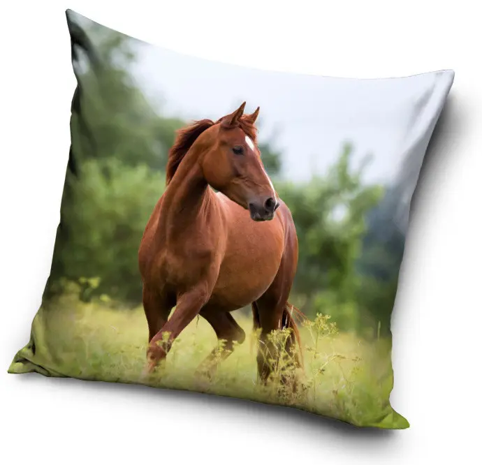 Povlak na polštář Horse Riding 40*40 cm fotografii produktu