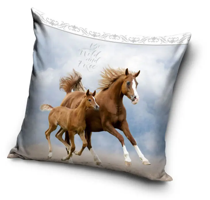 Povlak na polštář Horse Riding 40*40 cm fotografii produktu