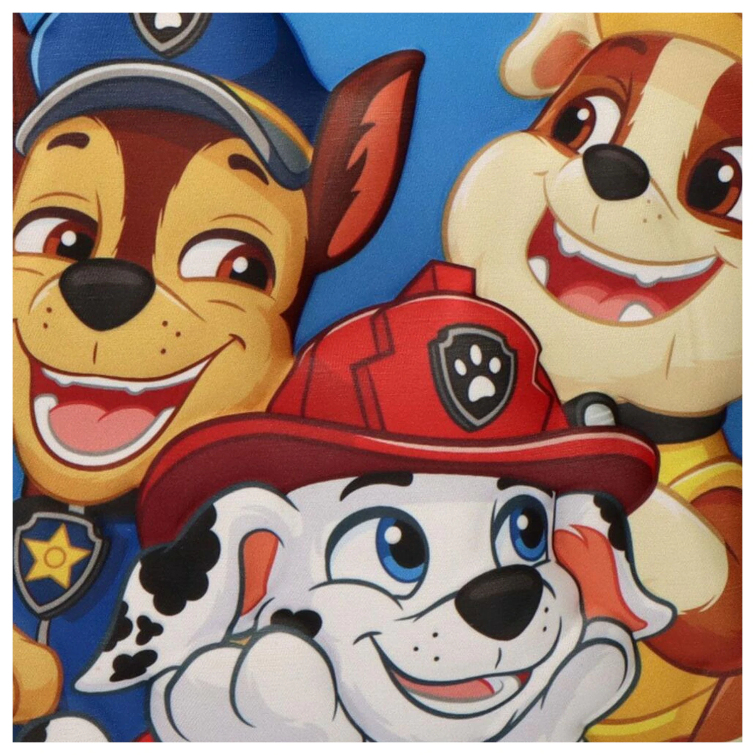 Paw Patrol 3D taška na oběd fotografii produktu
