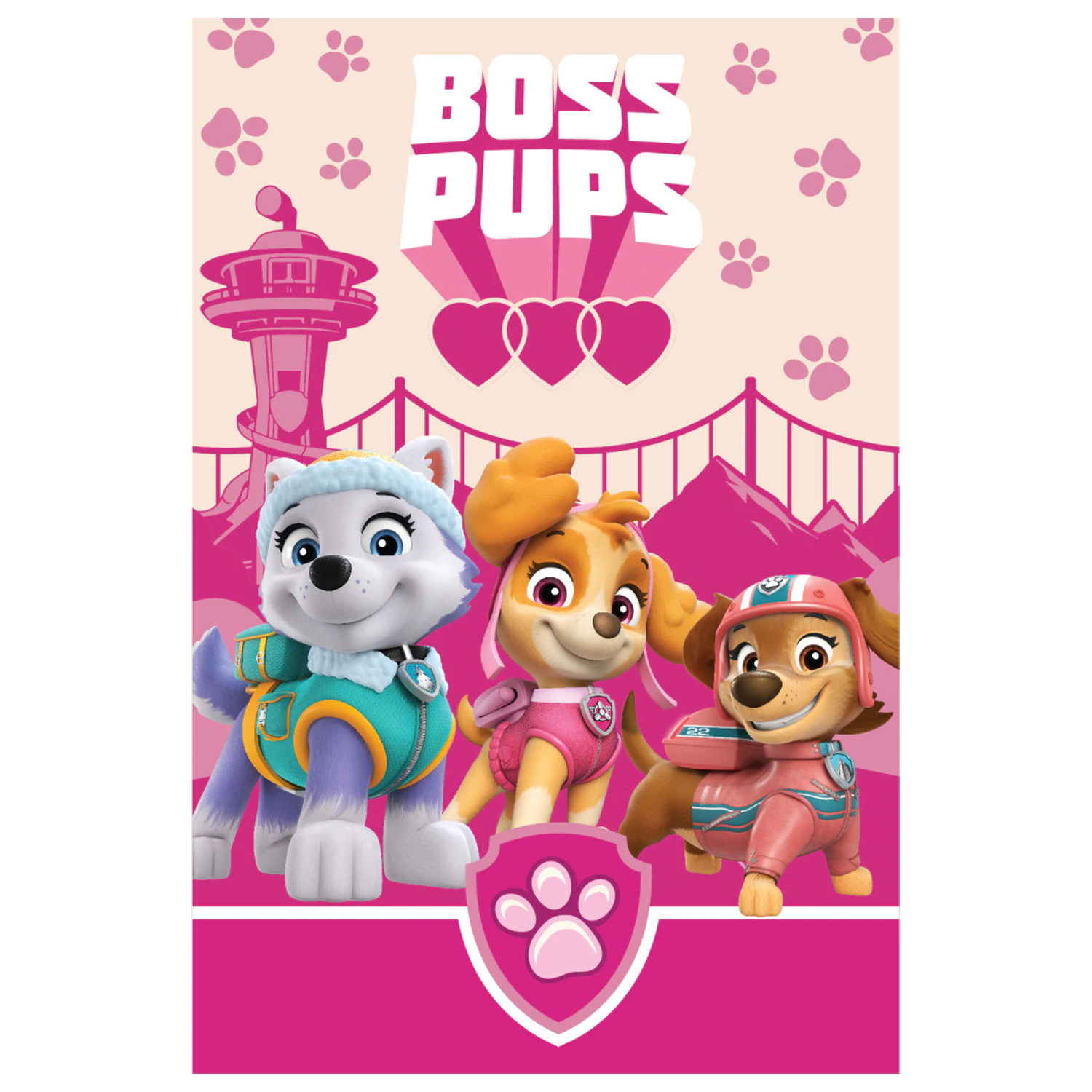 Paw Patrol Boss Pups fleecová deka fotografii produktu