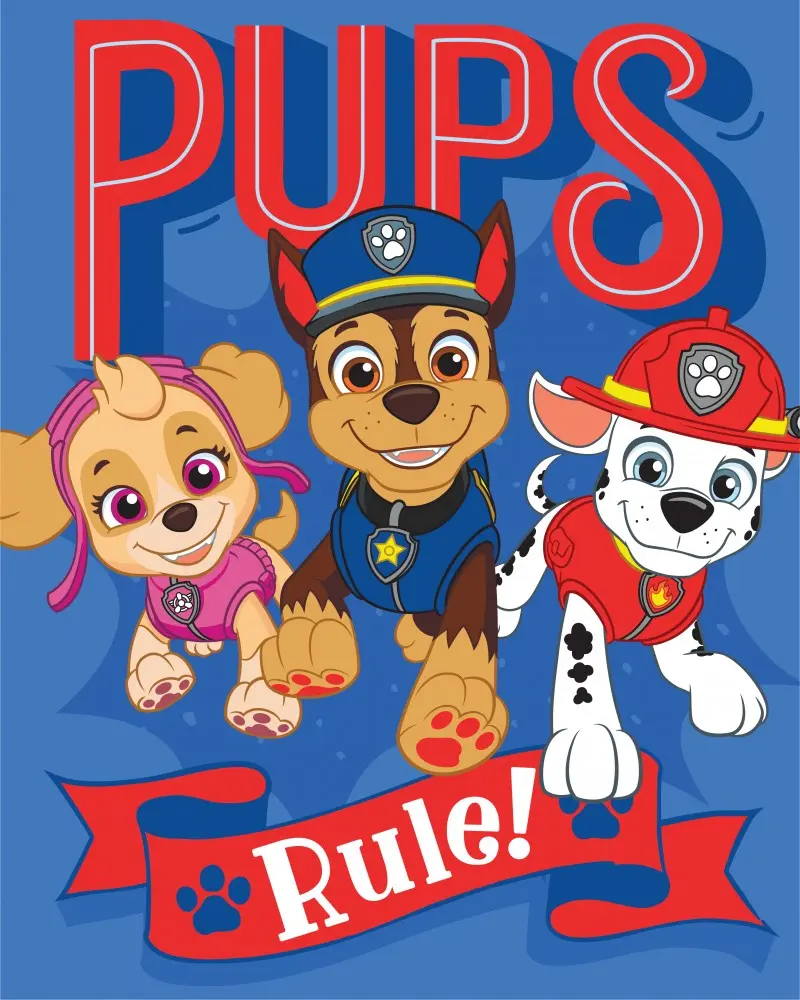 Paw Patrol fleecová deka 130*170 cm fotografii produktu