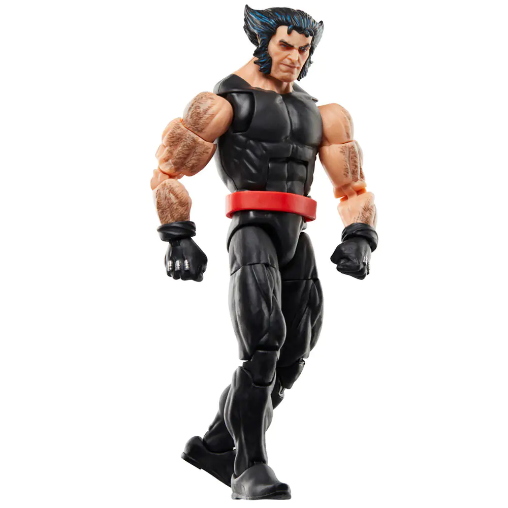 Marvel Legends Series balení figurek Wolverine 15 cm fotografii produktu