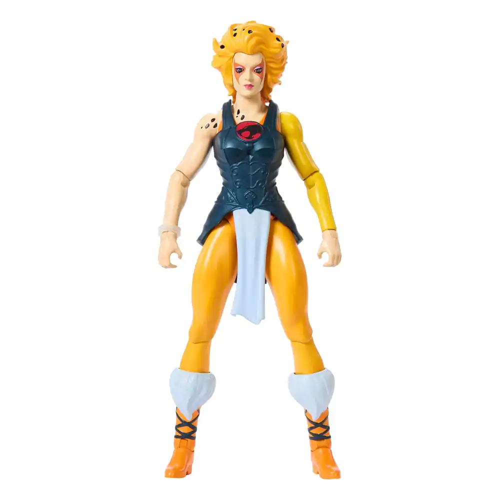 Masters of the Universe x ThunderCats akční figurka Cheetara 14 cm fotografii produktu