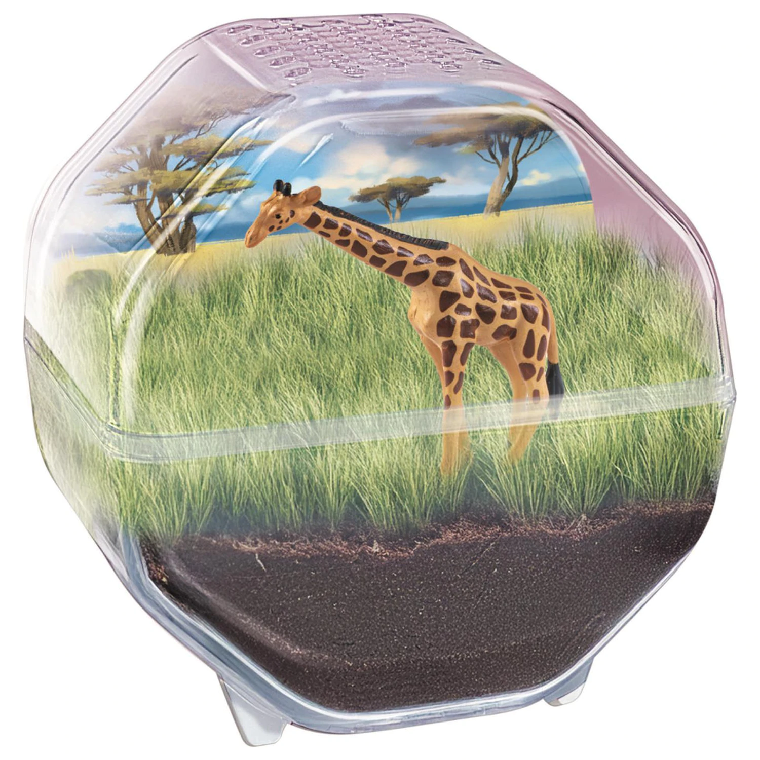 Mini Giraffe terárium fotografii produktu