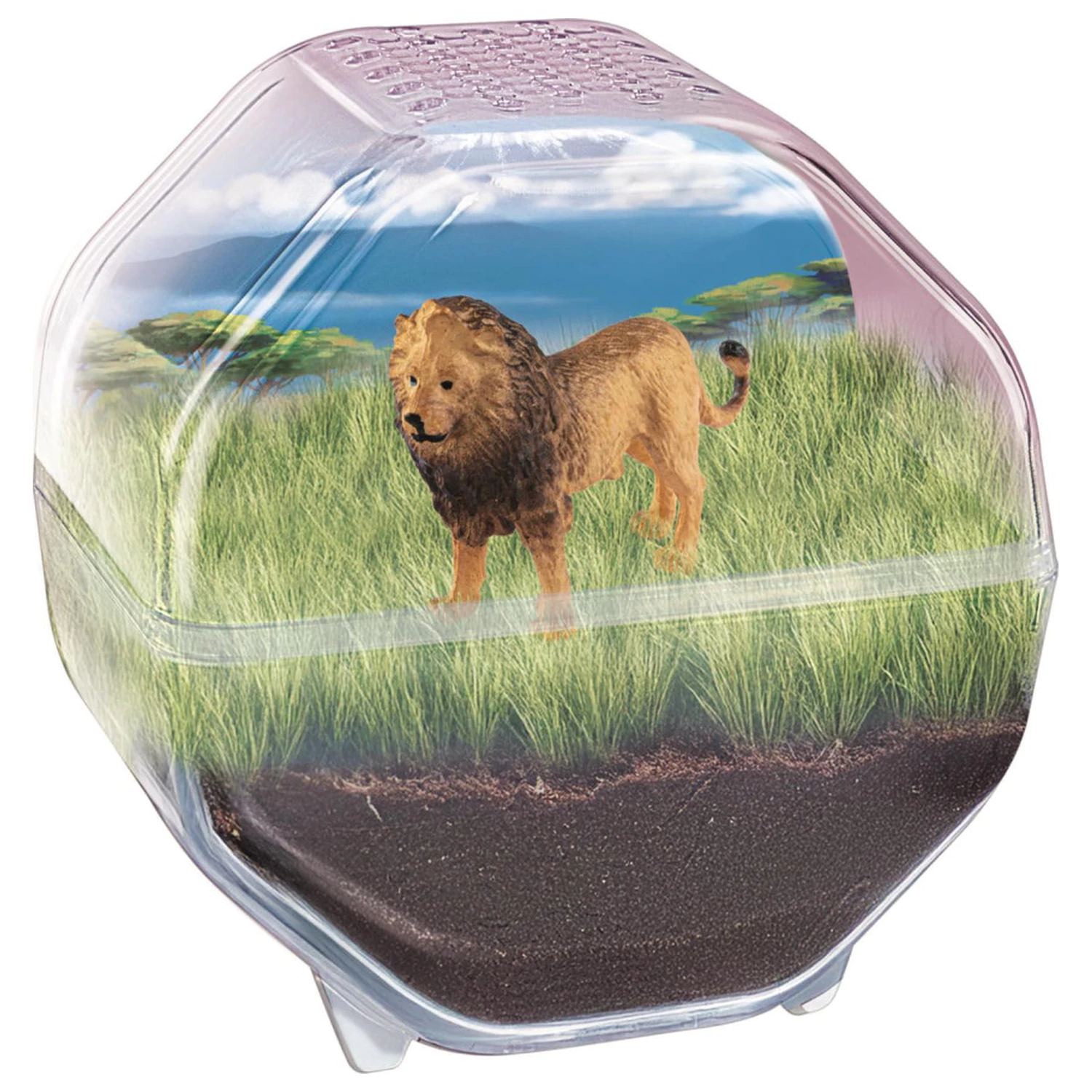 Mini Lion terárium fotografii produktu