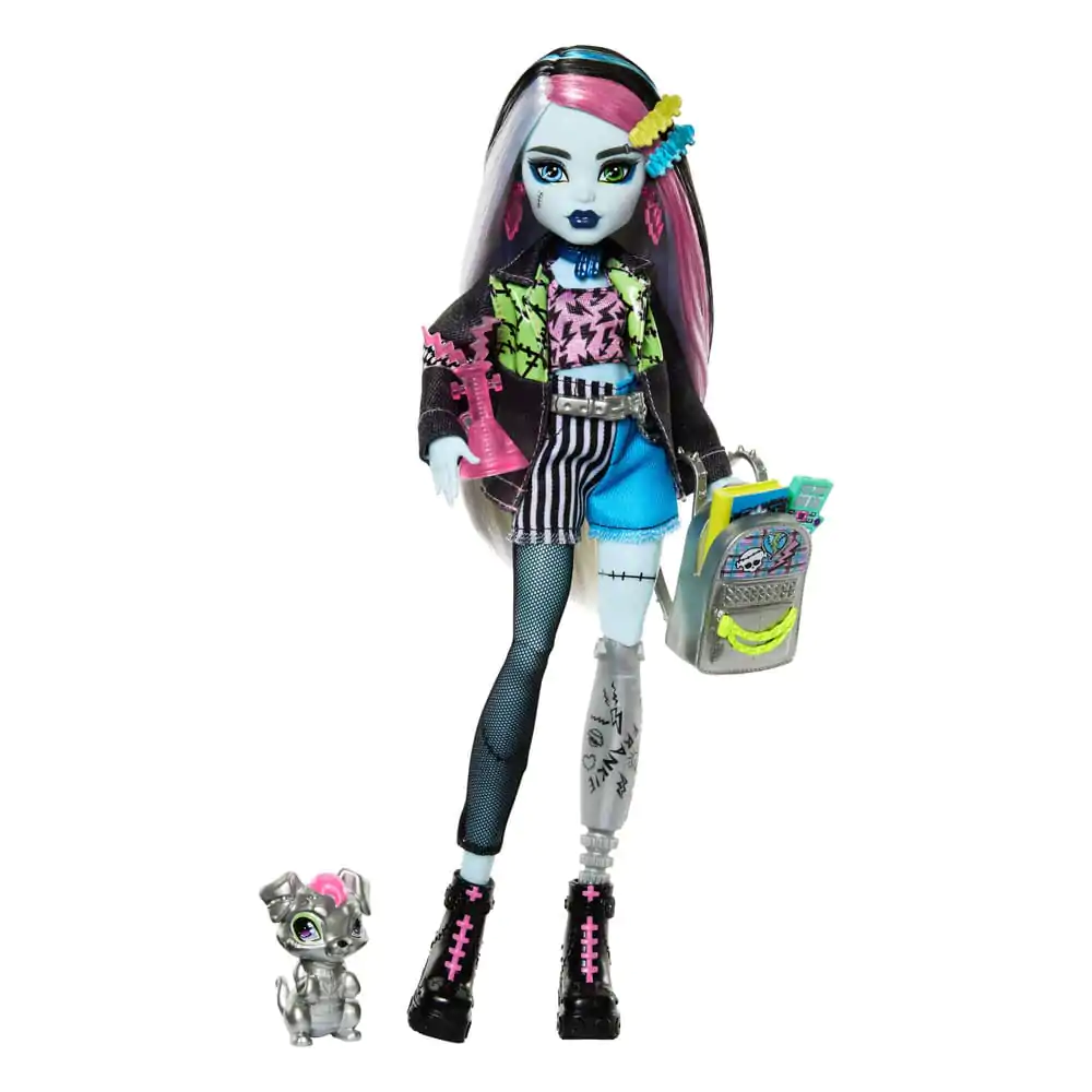 Monster High Panenka Frankie Stein 25 cm fotografii produktu