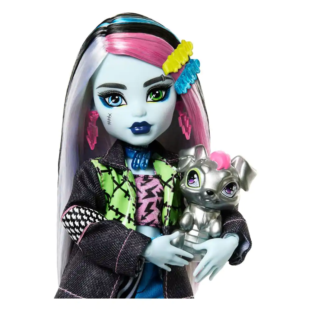 Monster High Panenka Frankie Stein 25 cm fotografii produktu