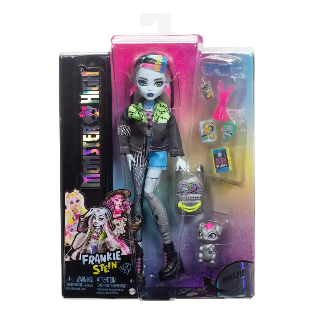 Monster High Panenka Frankie Stein 25 cm fotografii produktu