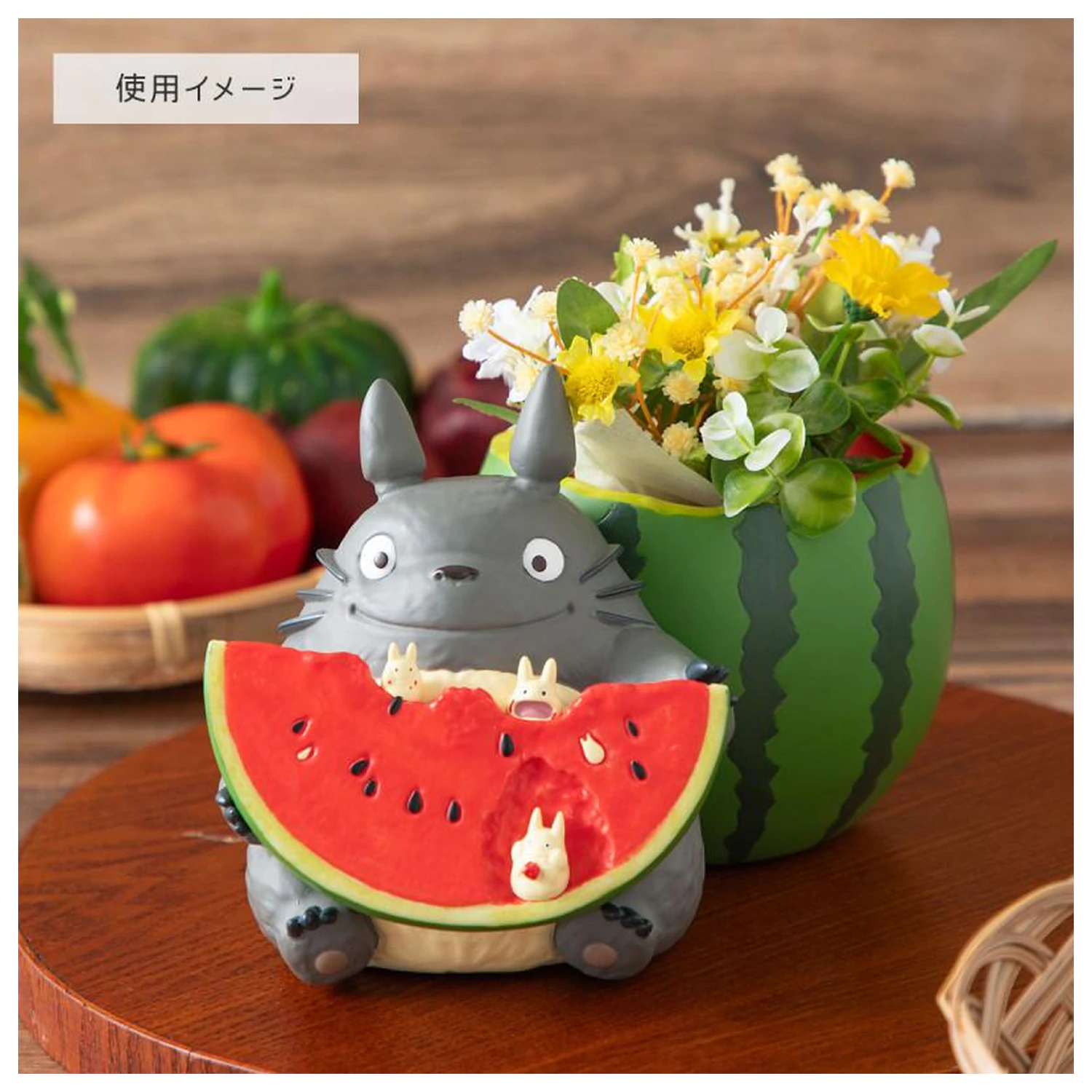 My Neighbor Totoro Totoro Watermelon Planter Frame fotorámeček Květináč fotografii produktu