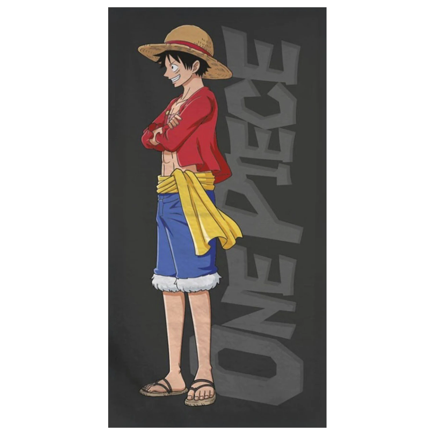 One Piece Dreamer ručník fotografii produktu