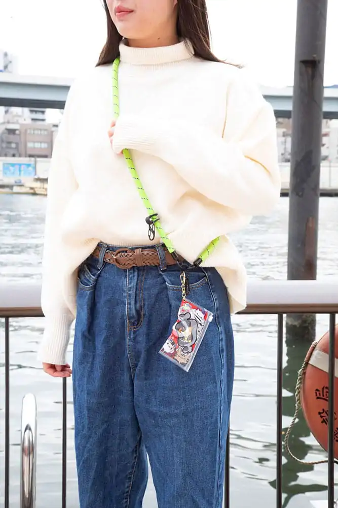 One Piece Mega Cat Project Nyan Piece Nyan! Sběratelská figurka s pouzdrem Luffy 2025 limitovaná edice 7 cm fotografii produktu