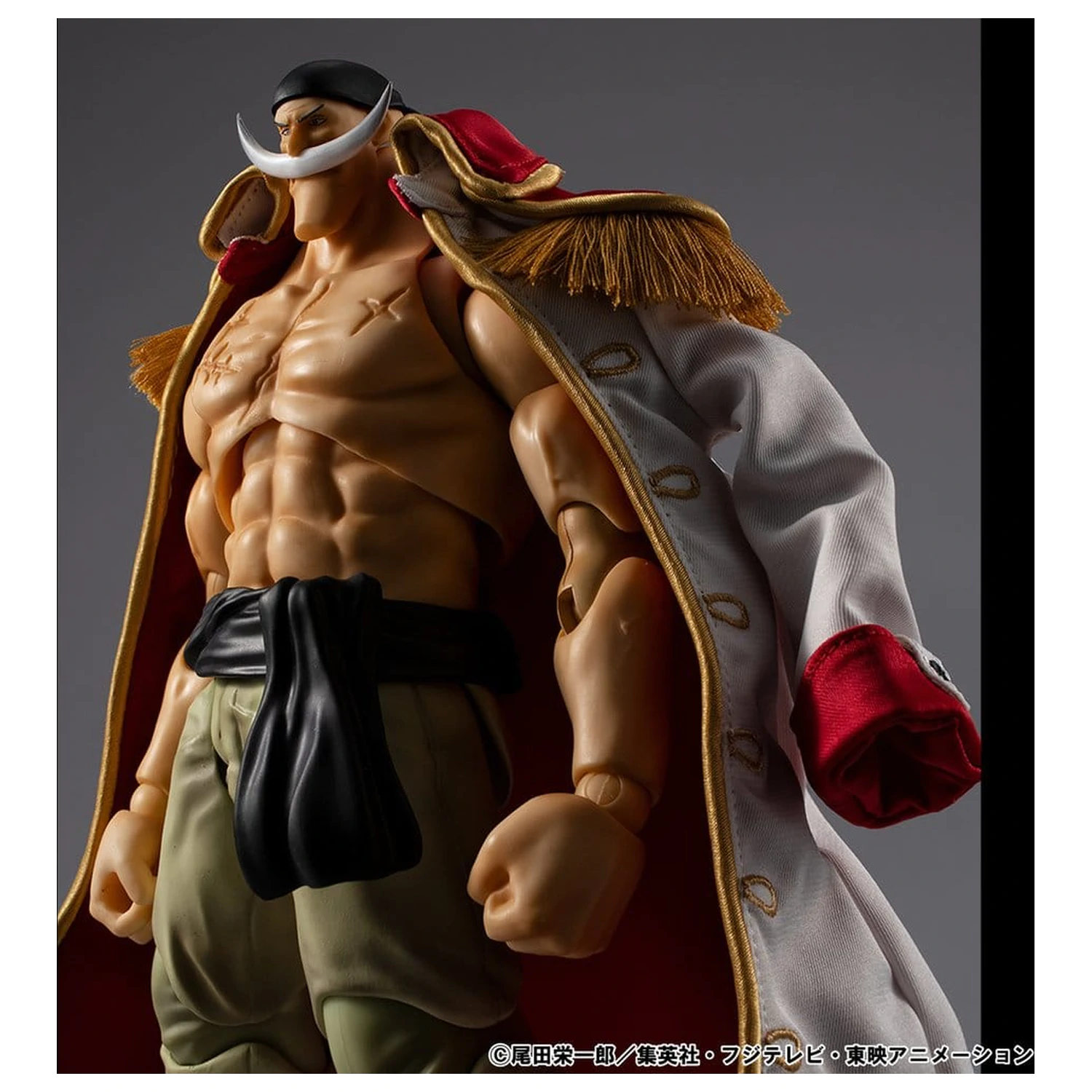 One Piece Variable Action Heroes akční figurka White Beard Edward Newgate Ver.1.5 24 cm fotografii produktu