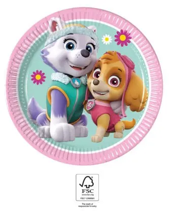 Paw Patrol Skye a Everest papírové talířky 8 ks 19.5 cm FSC fotografii produktu