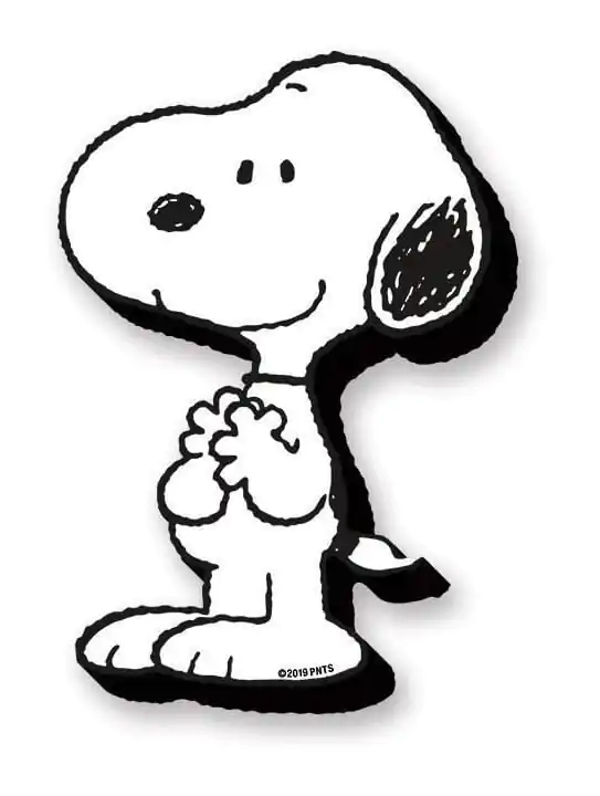 Peanuts: Snoopy Funky Chunky Magnet fotografii produktu