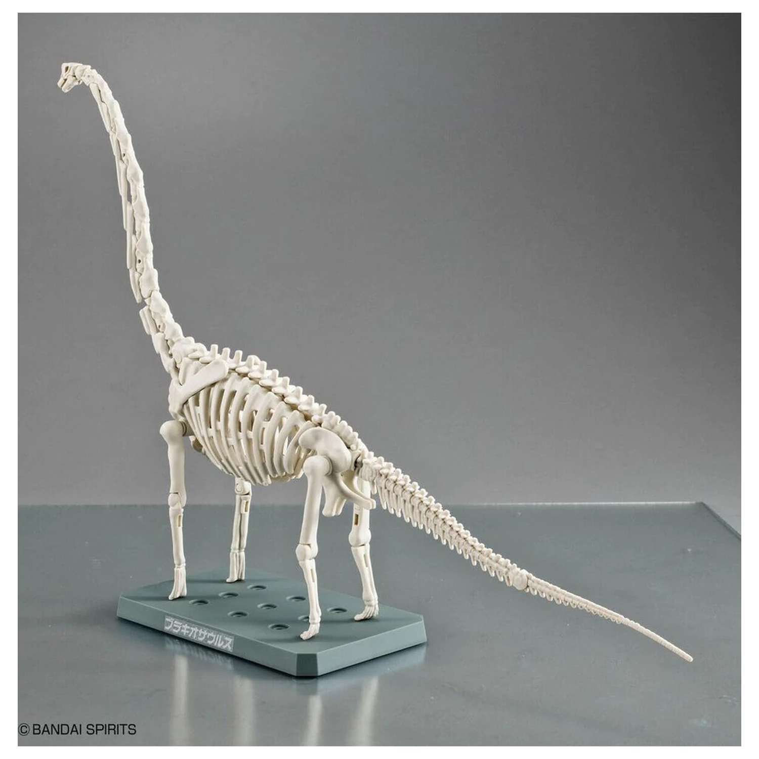 Model stavebnice Plannosaurus Brachiosaurus fotografii produktu