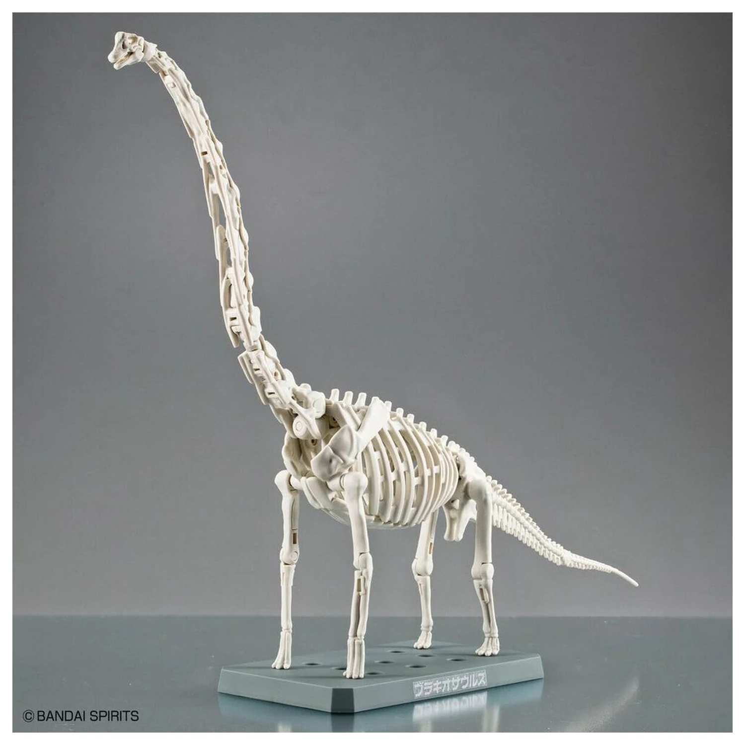 Model stavebnice Plannosaurus Brachiosaurus fotografii produktu