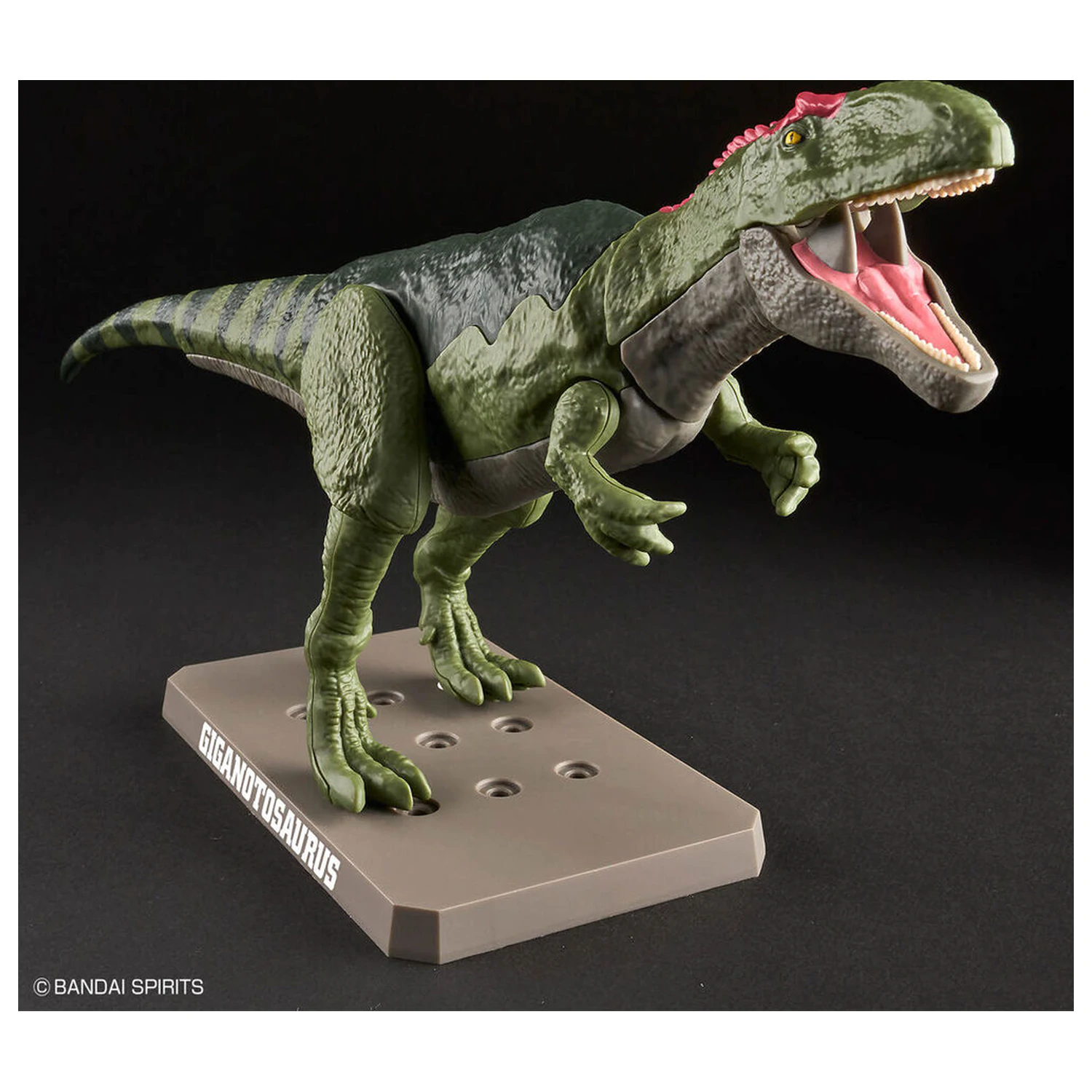 Model Kit Plannosaurus Giganotosaurus fotografii produktu