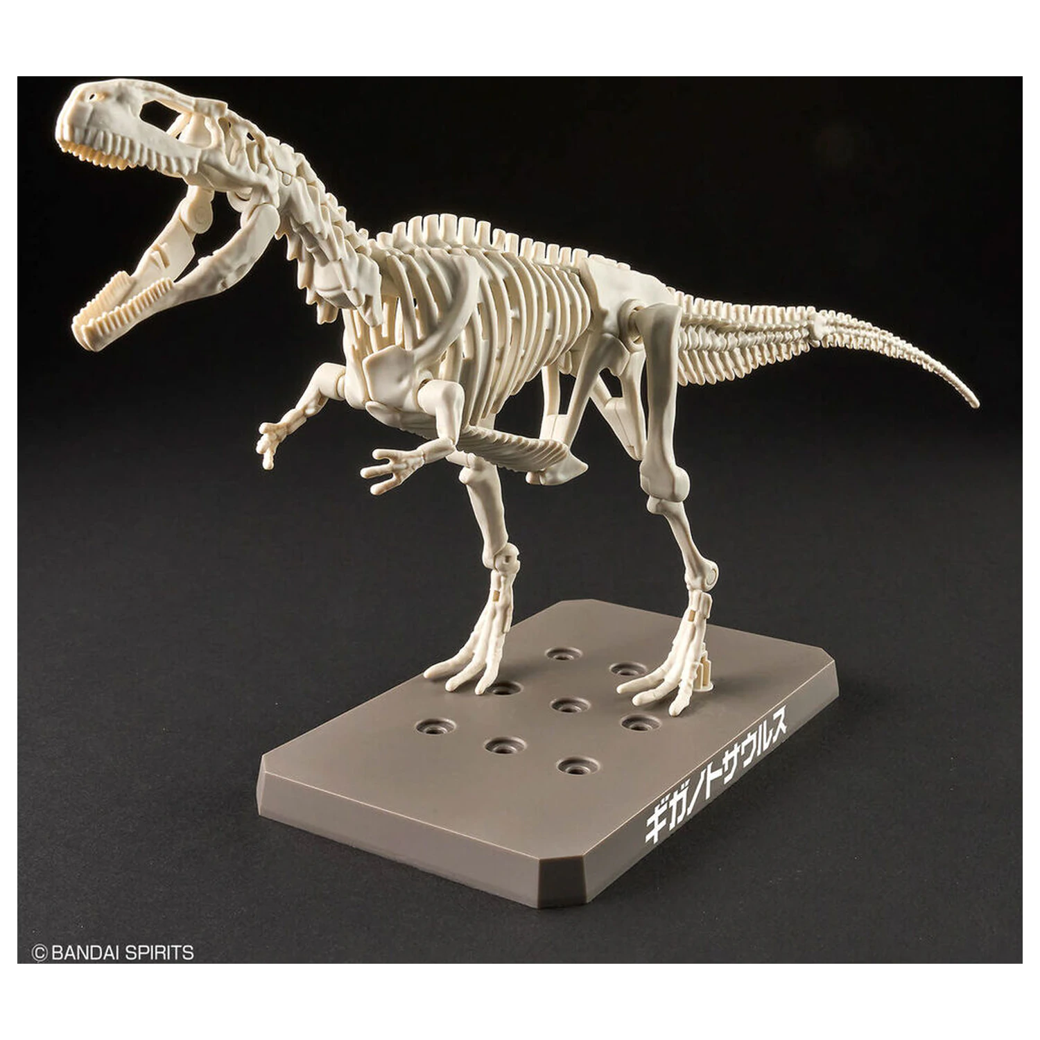Model Kit Plannosaurus Giganotosaurus fotografii produktu