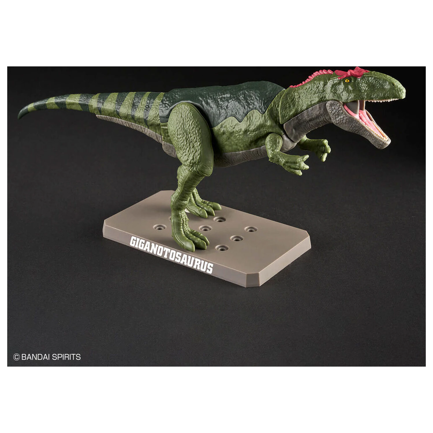 Model Kit Plannosaurus Giganotosaurus fotografii produktu