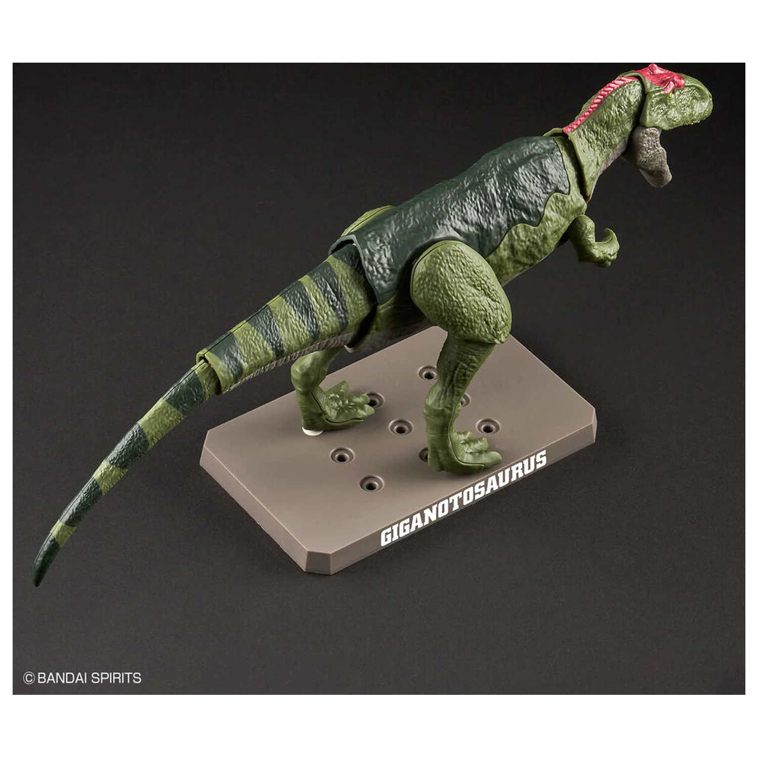 Model Kit Plannosaurus Giganotosaurus fotografii produktu