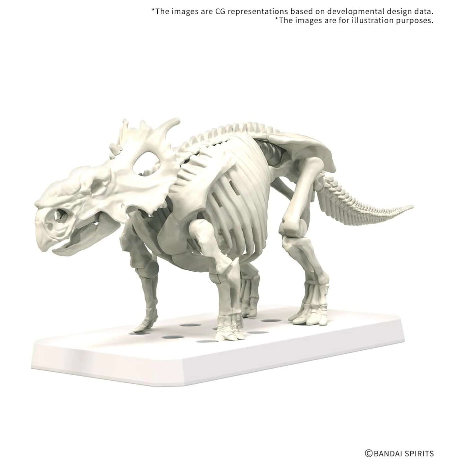 Plannosaurus Pachyrhinosaurus plastikový model fotografii produktu