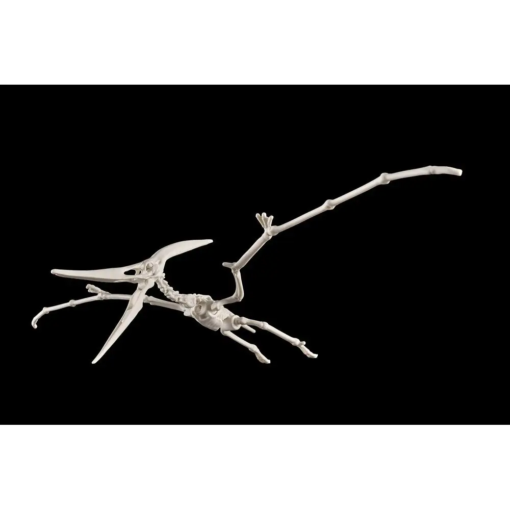 Plannosaurus Pteranodon Model Kit figurka fotografii produktu