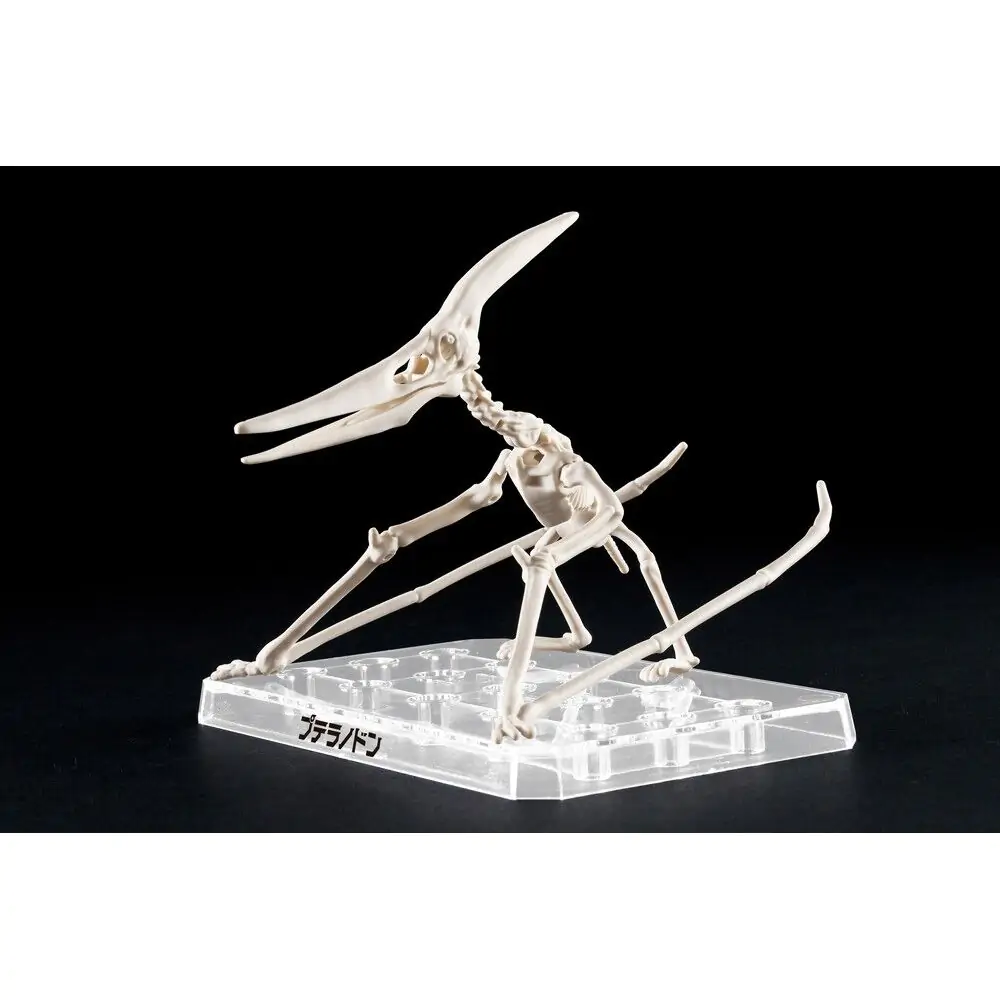 Plannosaurus Pteranodon Model Kit figurka fotografii produktu