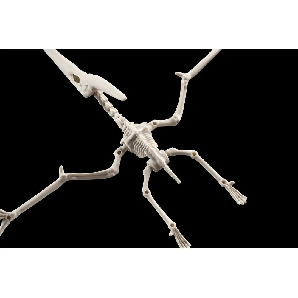 Plannosaurus Pteranodon Model Kit figurka fotografii produktu