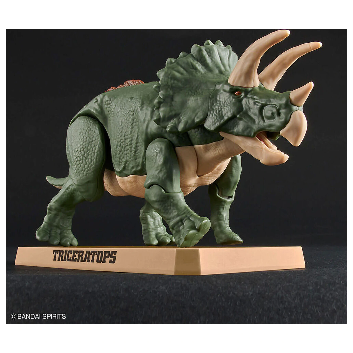 Model stavebnice Plannosaurus Triceratops fotografii produktu