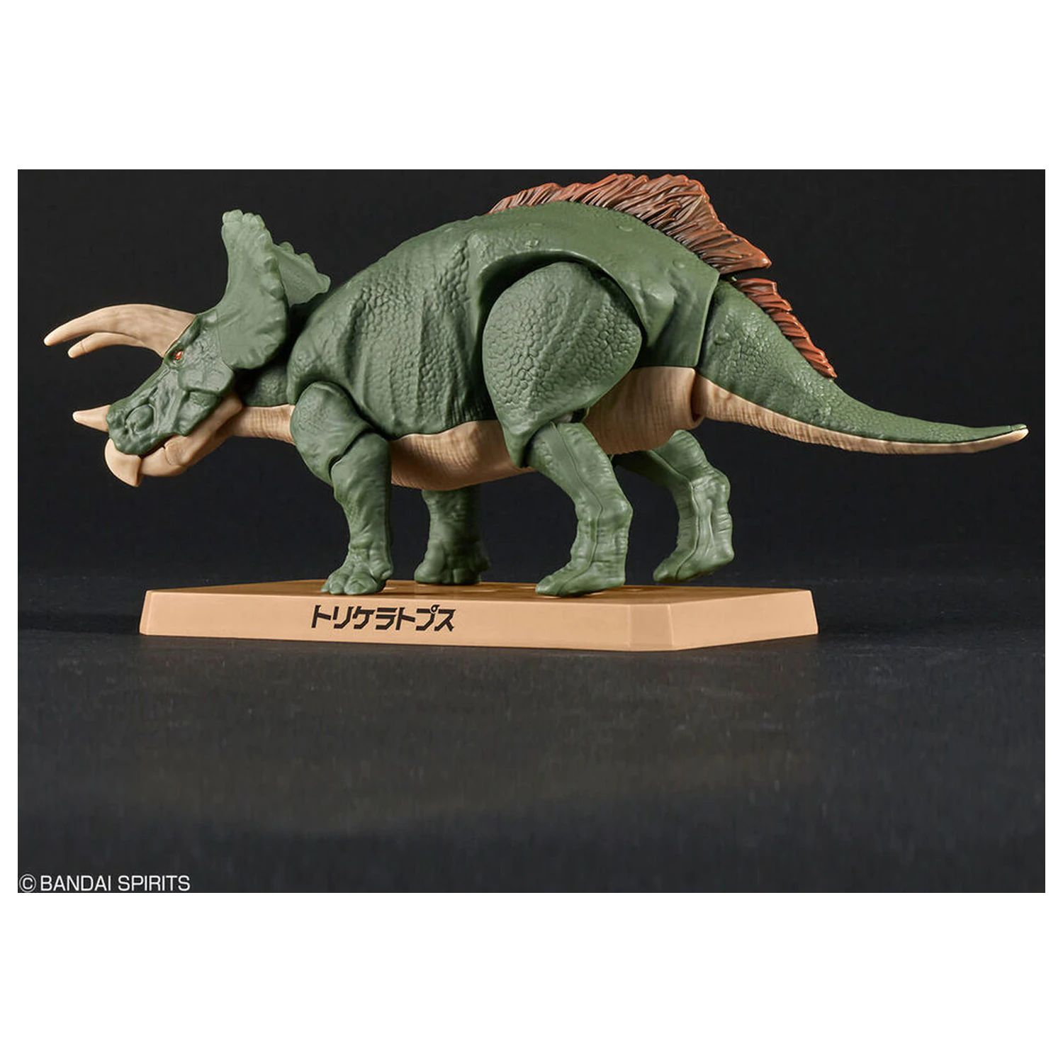 Model stavebnice Plannosaurus Triceratops fotografii produktu