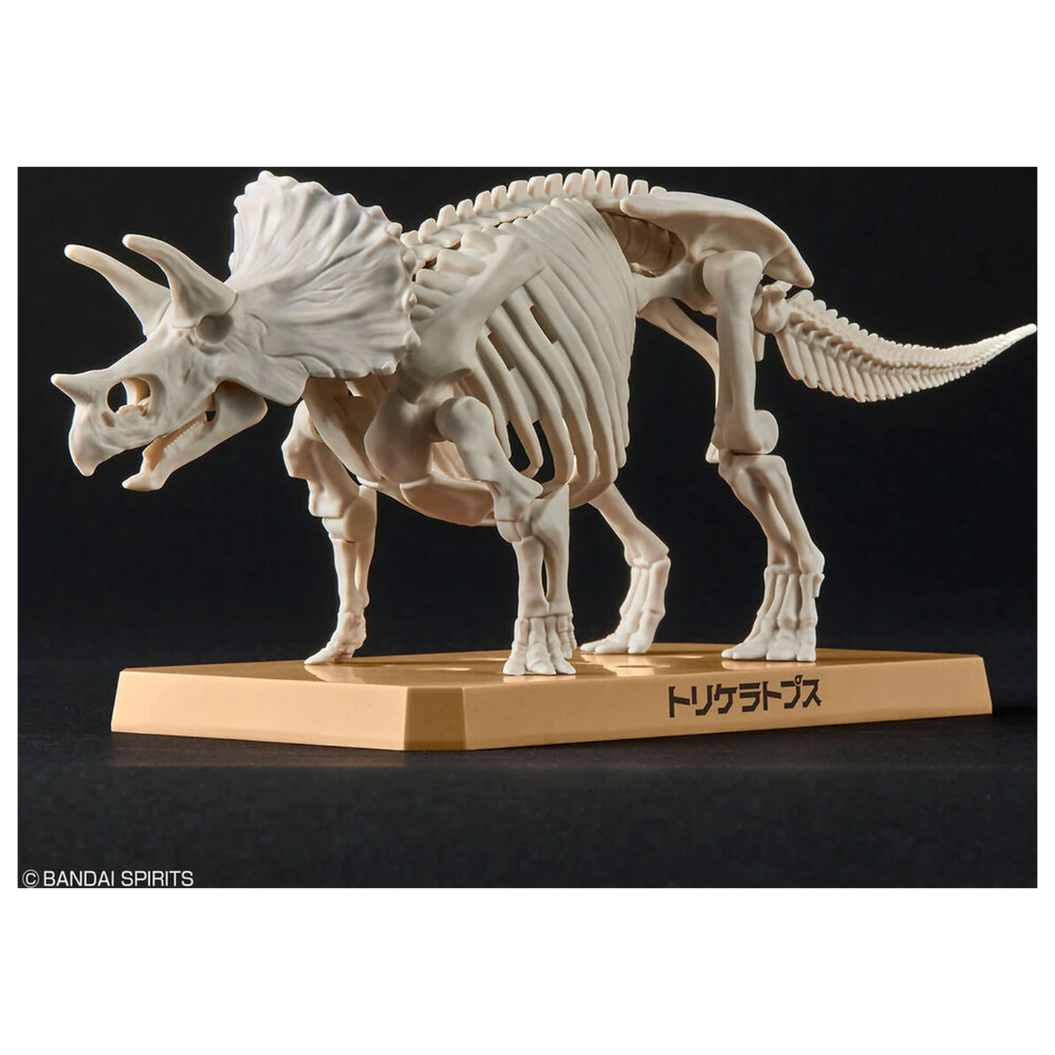 Model stavebnice Plannosaurus Triceratops fotografii produktu