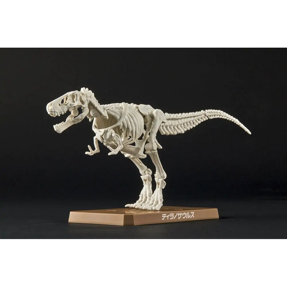 Plannosaurus Tyrannosaurus Model Kit figurka fotografii produktu
