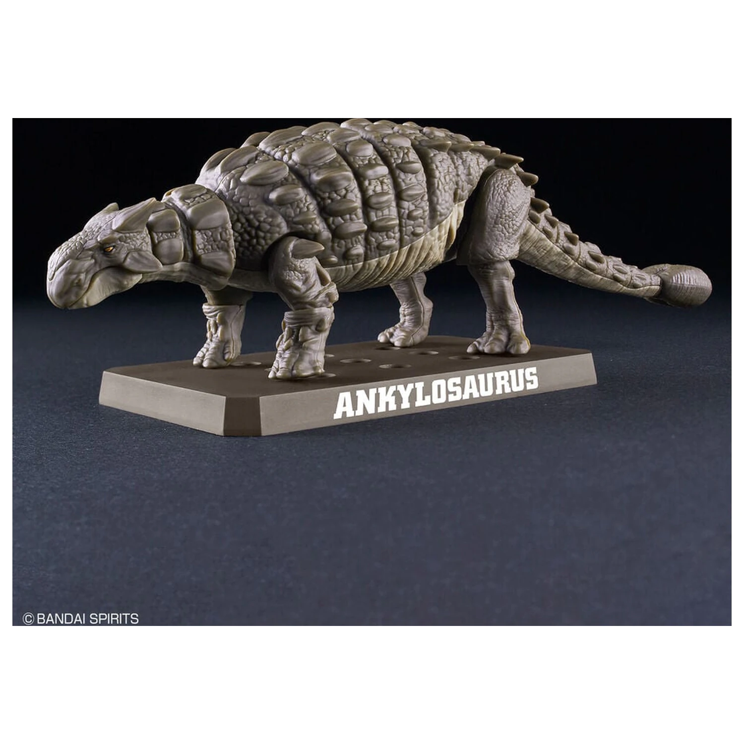 Planosaurus Ankylosaurus Model Kit fotografii produktu