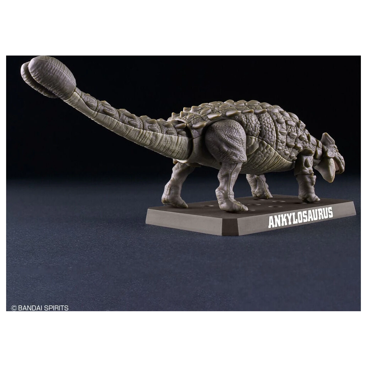 Planosaurus Ankylosaurus Model Kit fotografii produktu