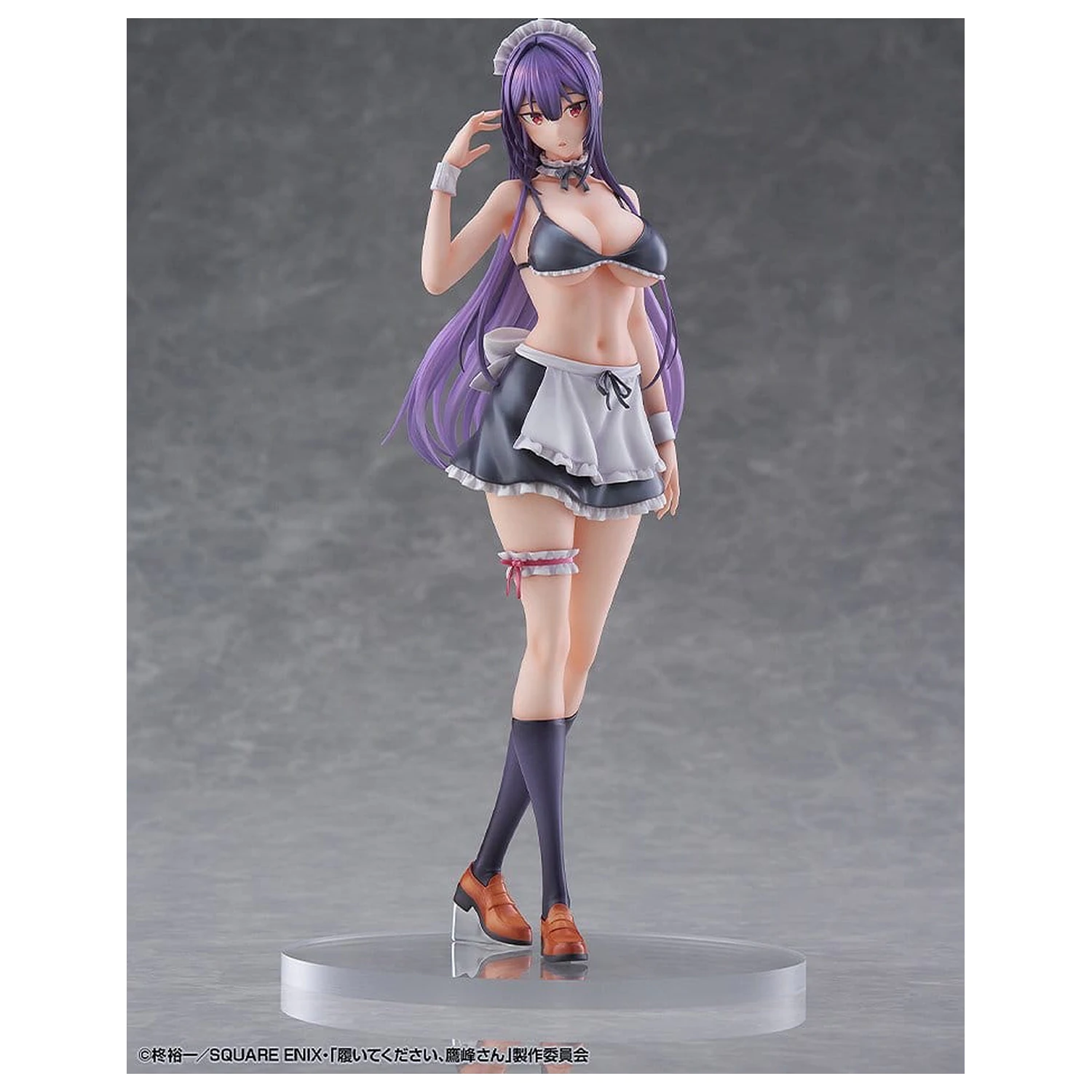 "Please Put Them On, Takamine-san" PVC Figurka 1/6 Takane Takamine 25 cm fotografii produktu
