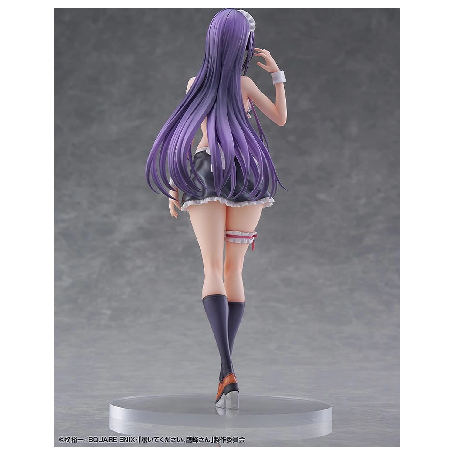 "Please Put Them On, Takamine-san" PVC Figurka 1/6 Takane Takamine 25 cm fotografii produktu