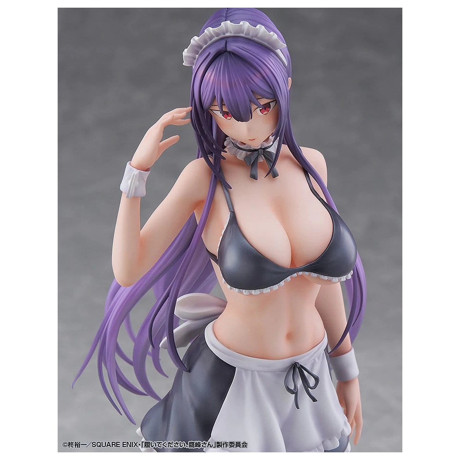 "Please Put Them On, Takamine-san" PVC Figurka 1/6 Takane Takamine 25 cm fotografii produktu