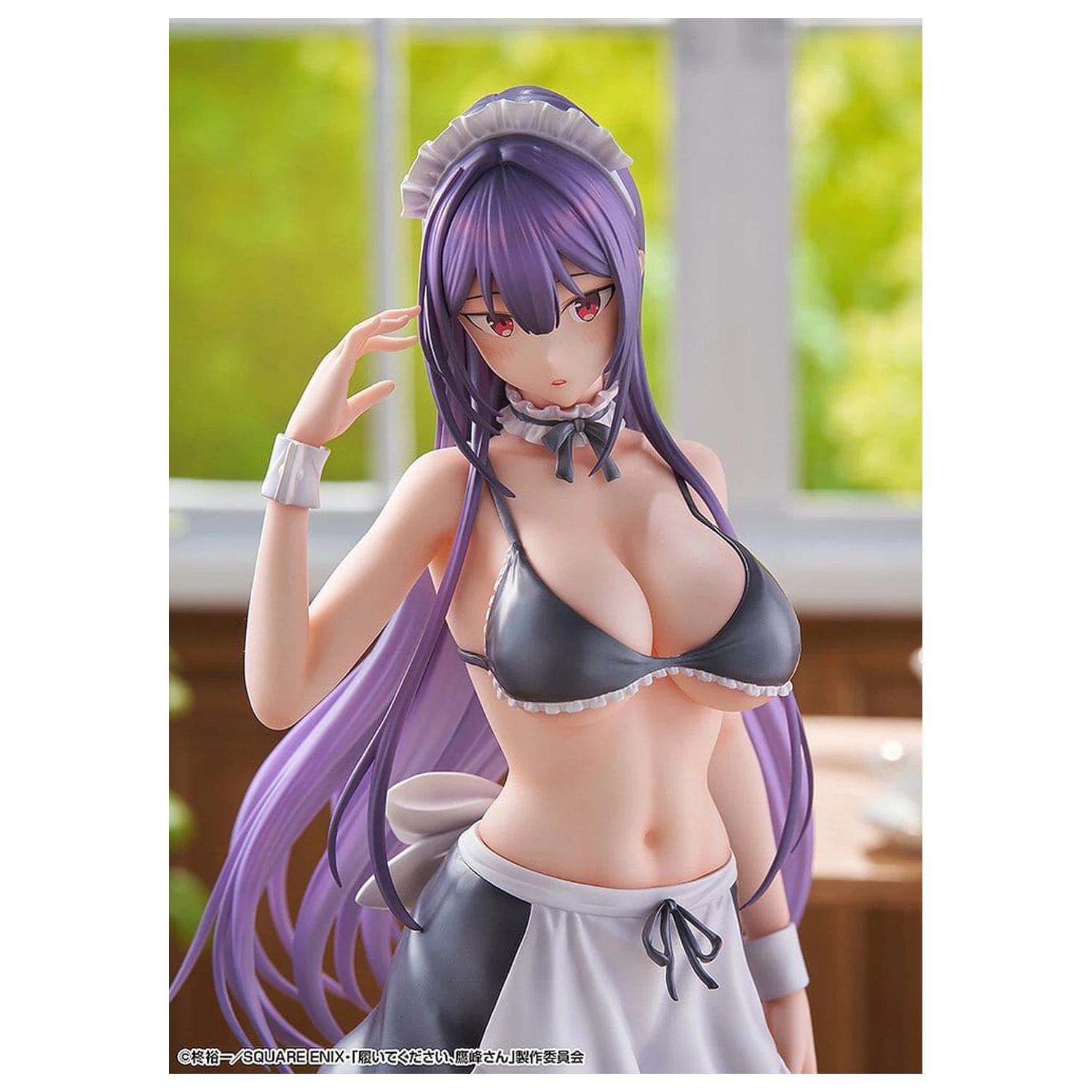 "Please Put Them On, Takamine-san" PVC Figurka 1/6 Takane Takamine 25 cm fotografii produktu