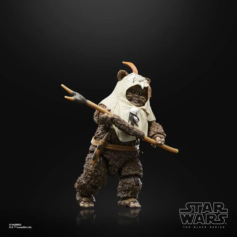 Star Wars Episode VI 40th Anniversary Black Series akční figurka Paploo 15 cm fotografii produktu