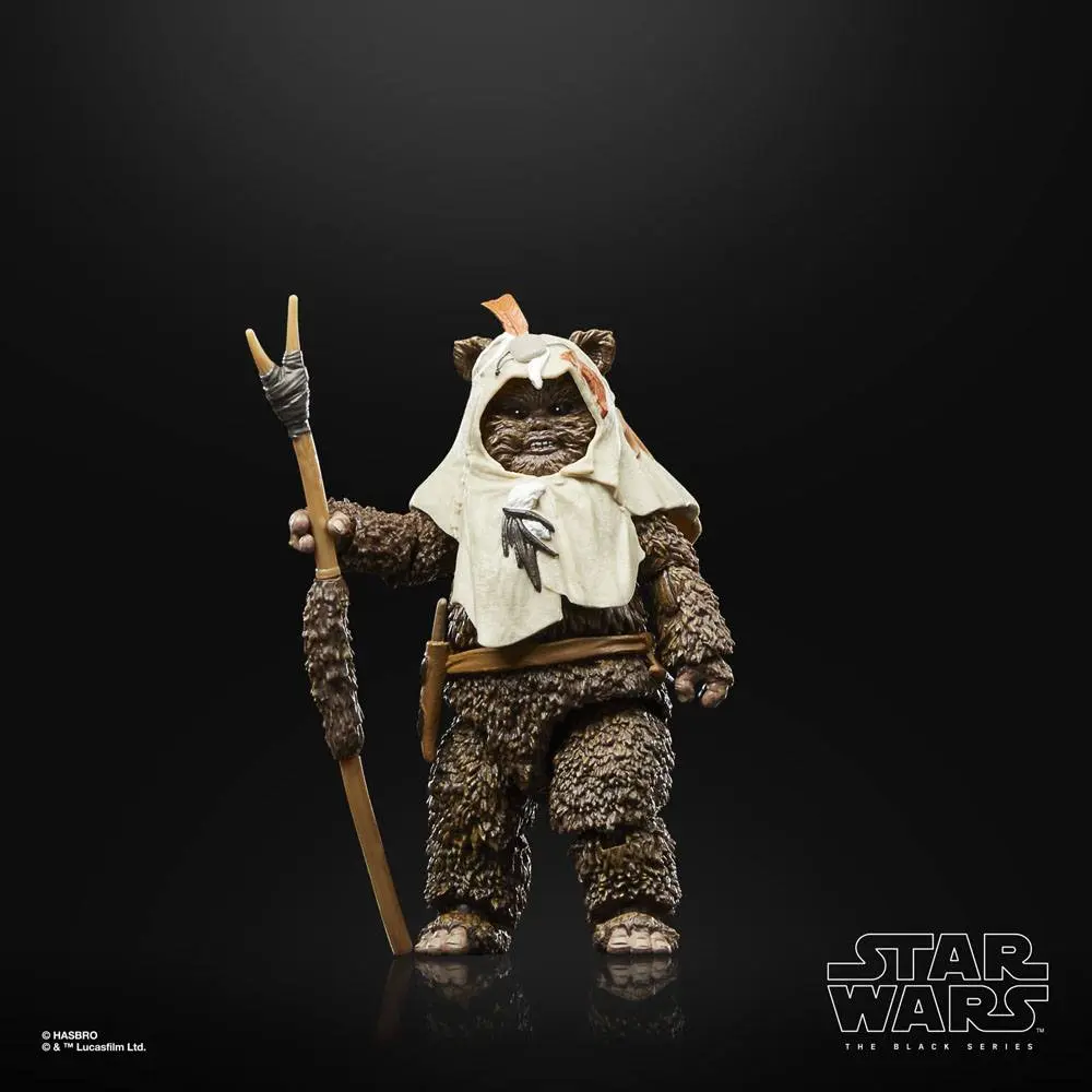 Star Wars Episode VI 40th Anniversary Black Series akční figurka Paploo 15 cm fotografii produktu