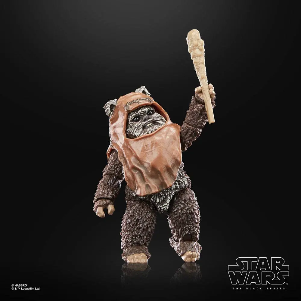 Star Wars Episode VI 40th Anniversary Black Series akční figurka Wicket 15 cm fotografii produktu