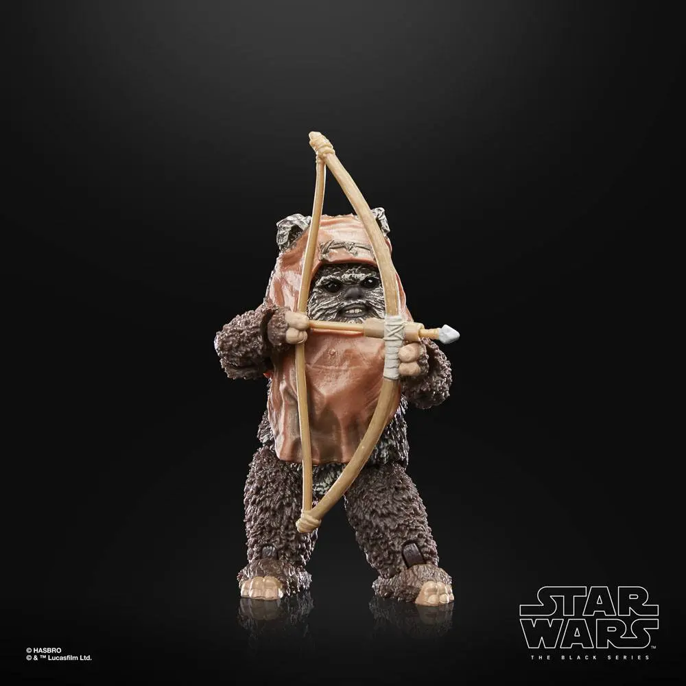 Star Wars Episode VI 40th Anniversary Black Series akční figurka Wicket 15 cm fotografii produktu