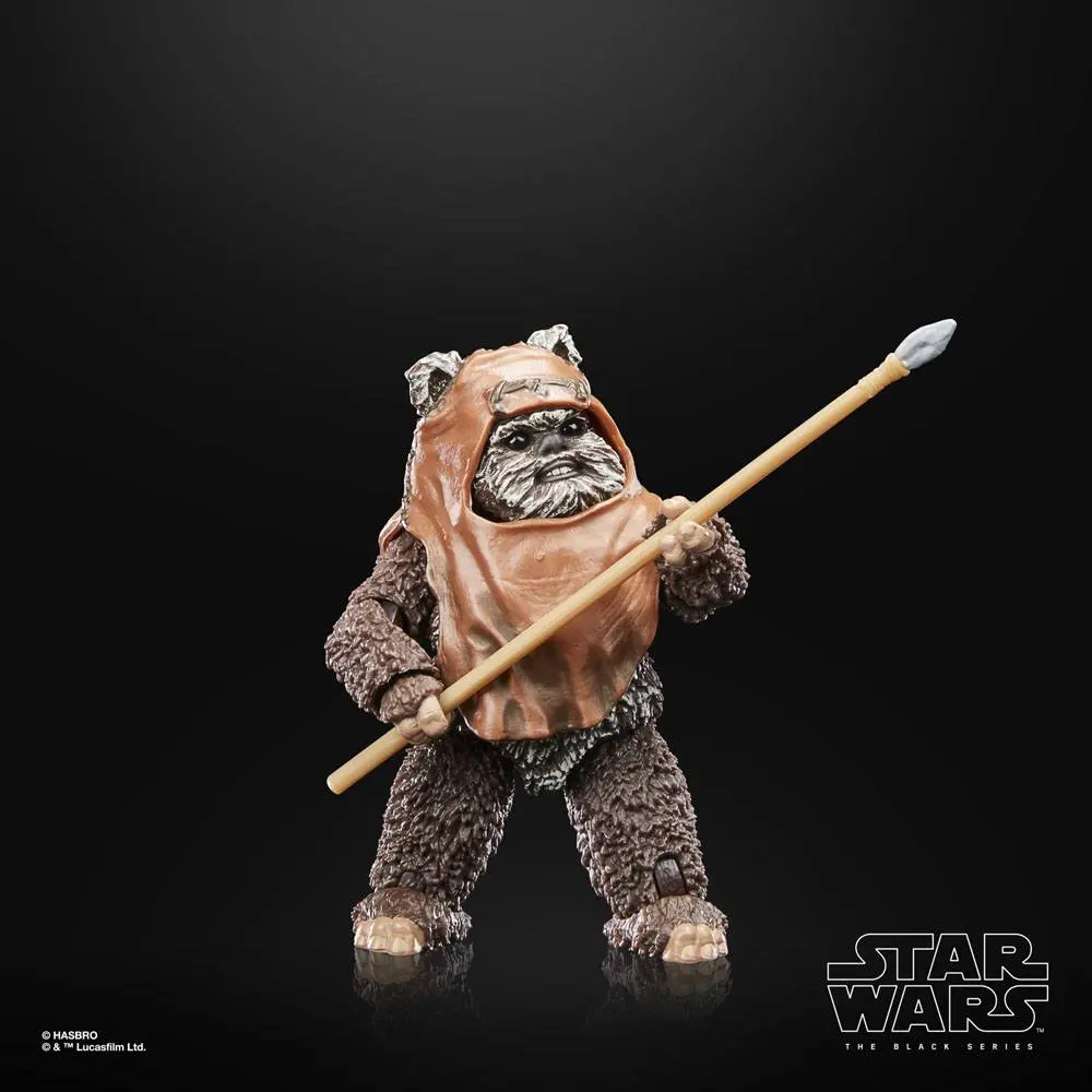 Star Wars Episode VI 40th Anniversary Black Series akční figurka Wicket 15 cm fotografii produktu