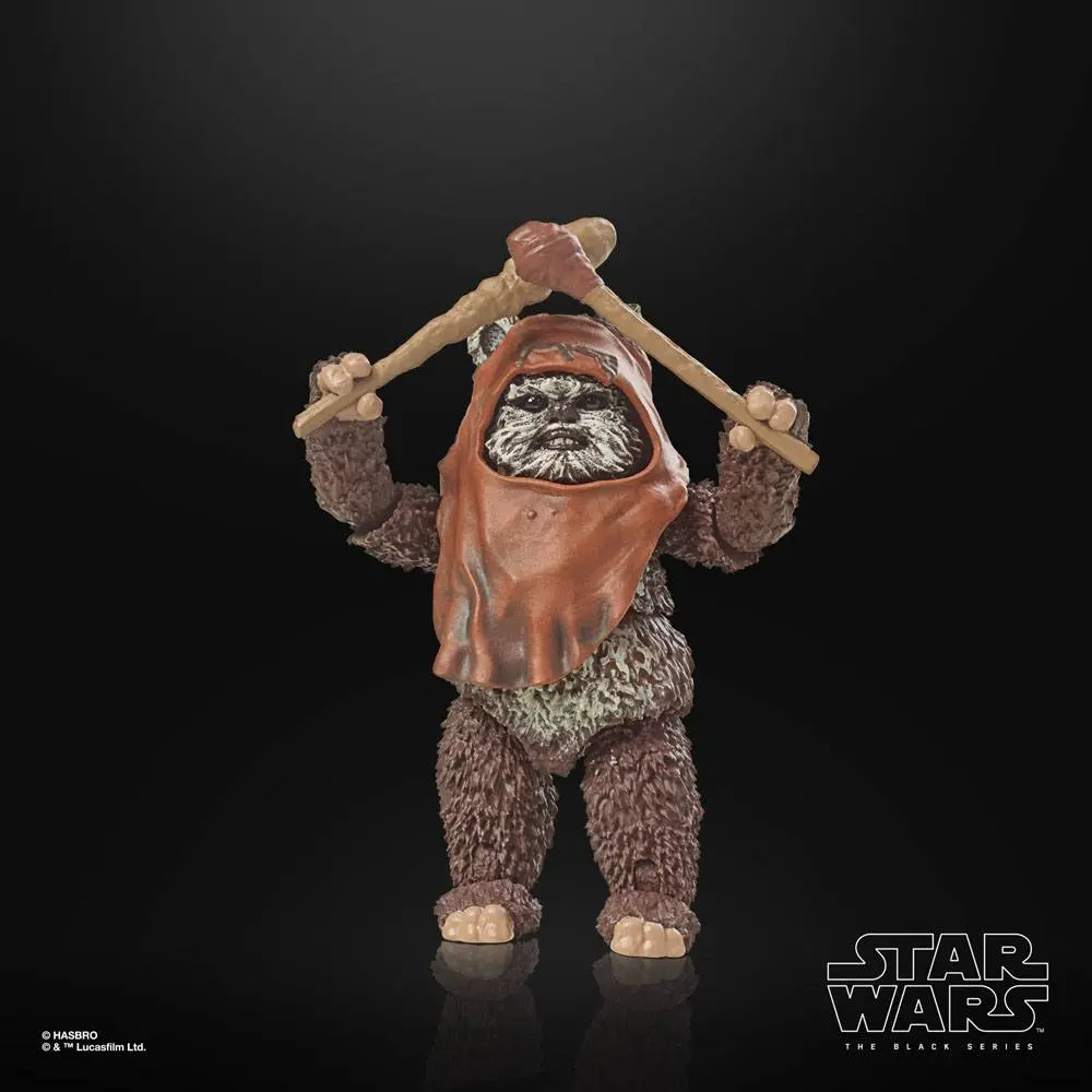 Star Wars Episode VI 40th Anniversary Black Series akční figurka Wicket 15 cm fotografii produktu